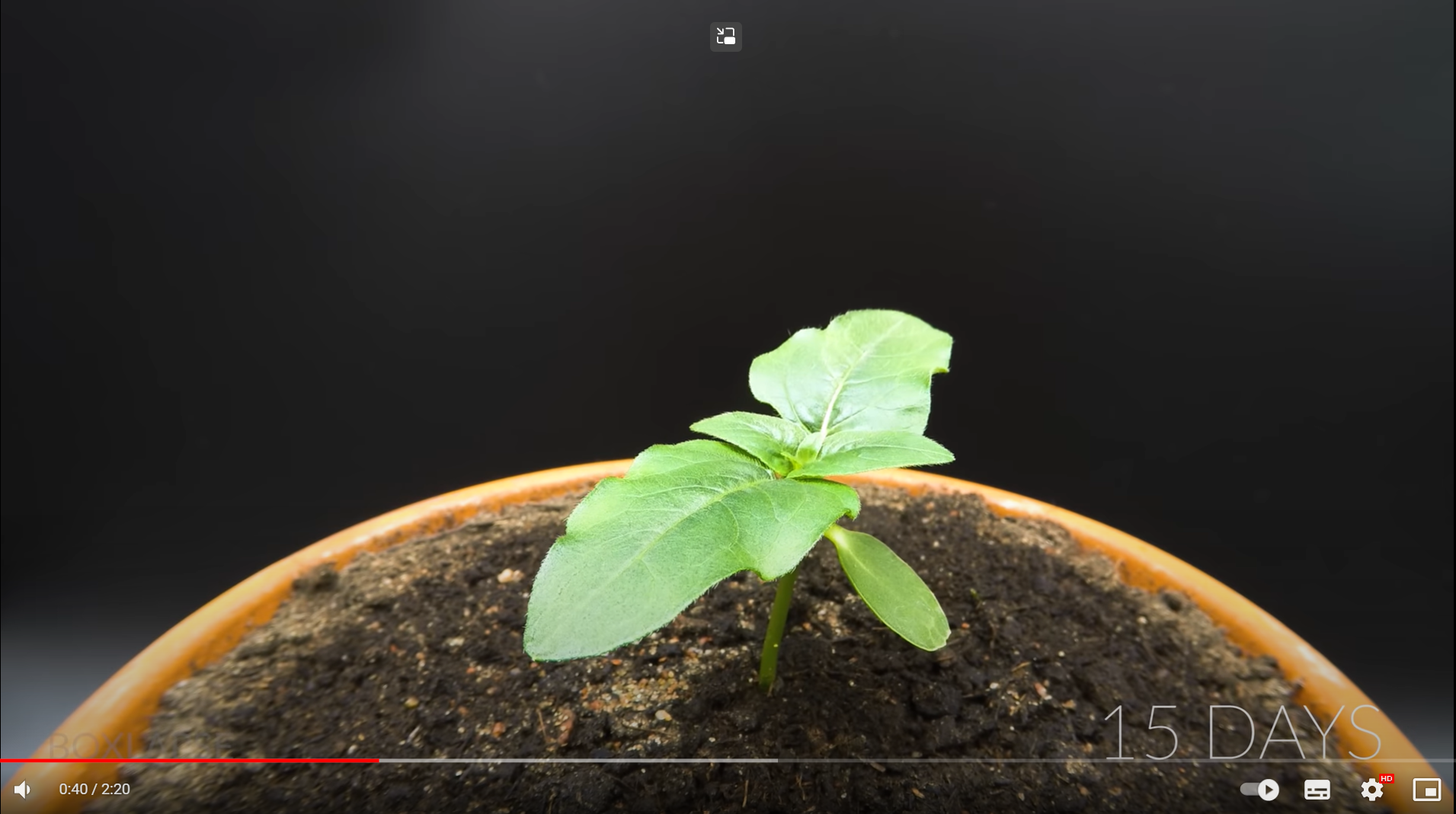 multimedia principle, process graphics, Boxlapse
