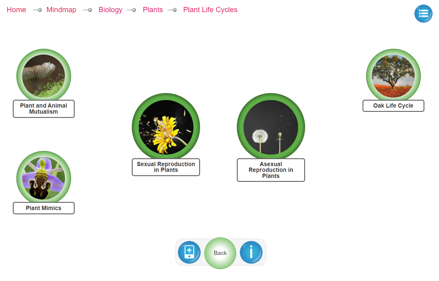multimedia principle, relational graphic, Twig